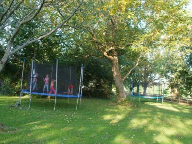 Gwynfryn Farm - activities