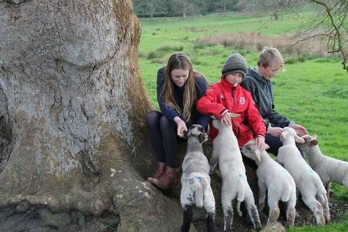 Warborne Farm - activities