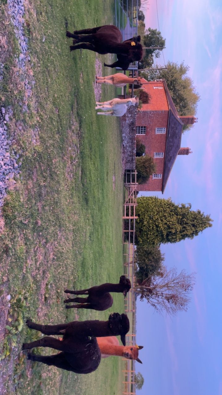 Mill Farm House - activities