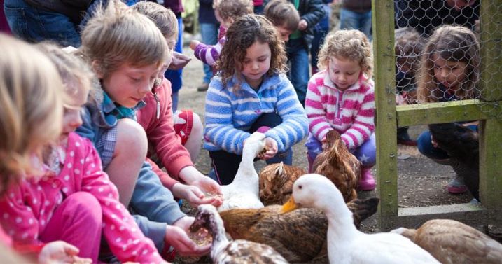 Bosinver Farm Cottages  - activities