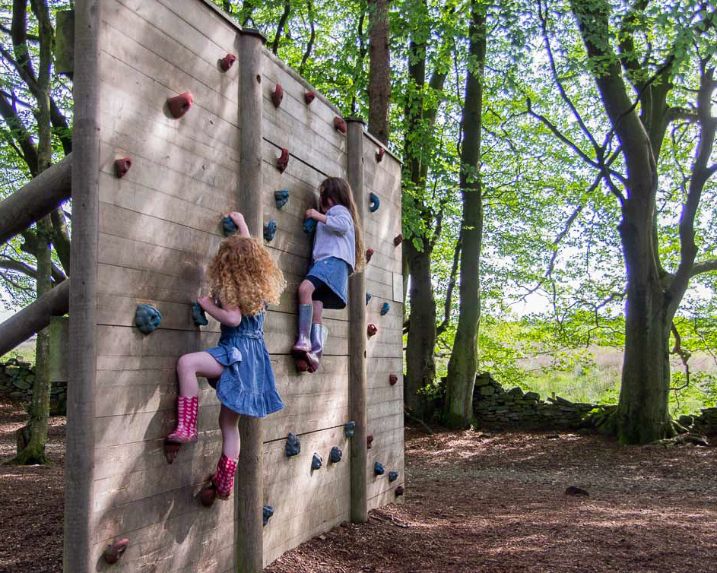 Darwin Forest - activities