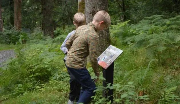 Skelwith's Safari Tents - activities