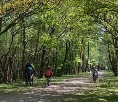 Roundhill Camping - activities