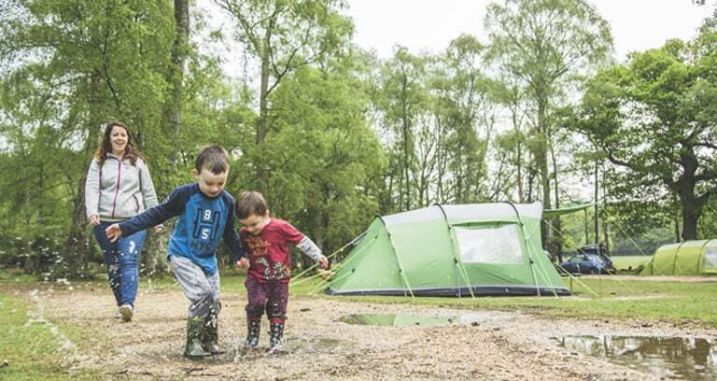 Hollands Wood Camping - activities