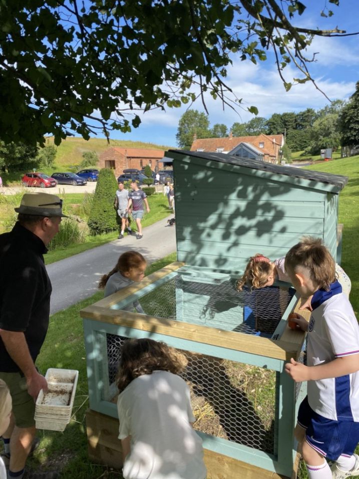 Swallows Nest Cottage - activities