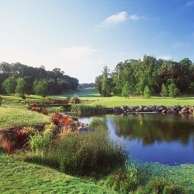 Fota Island Adventure 1