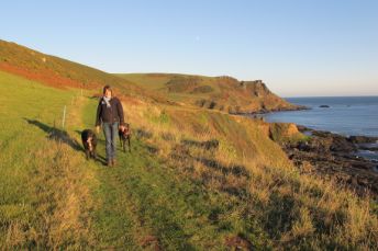 Fingals Holiday Cottages