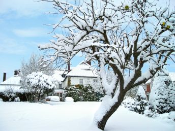 The Spread Eagle Hotel & Spa
