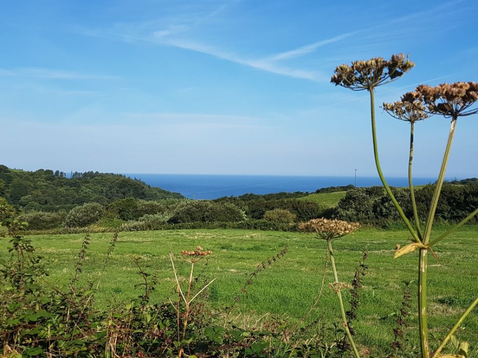 Sea views from Lower Campscott