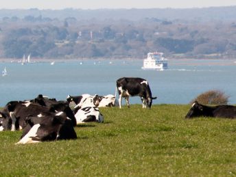 Tapnell Farm Cottages