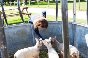 Tapnell Farm Cottages