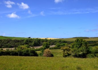 Trevorrick Farm Cottages