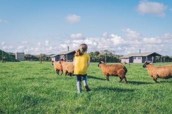 Gwel Teg Farm