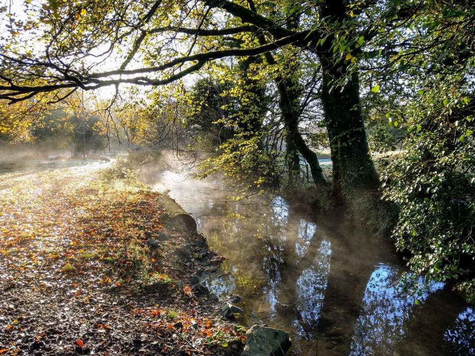 Woodland and riverside walks