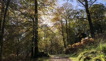 Skelwith's Safari Tents