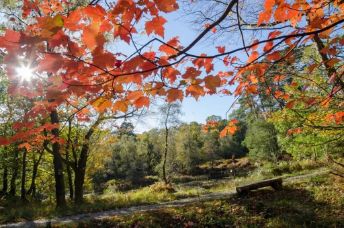 Skelwith's Hideaway Pods