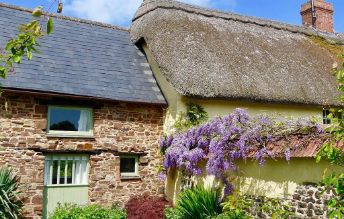 South Coombe Country Cottages