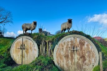 Treberfedd Farm Glamping