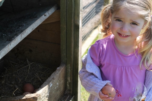 Trecan Farm Cottages