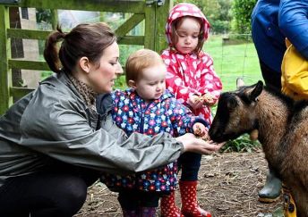 Polean Farm Cottages