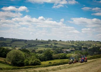 Billingsmoor Farm