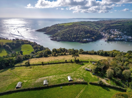 Fountain Violet Farm
