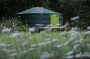Redwood Valley Glamping