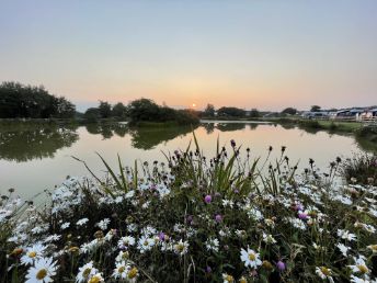 Warcombe Farm Camping Park