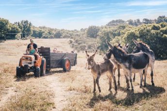 Country Kids