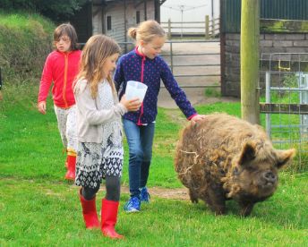 West Woolley Farm