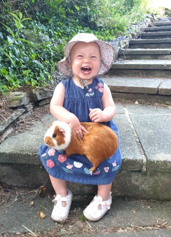 Polean Farm Cottages