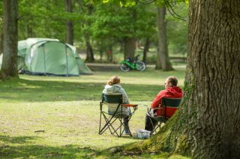 Hollands Wood Camping