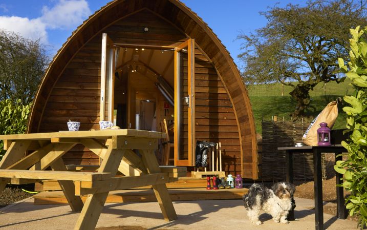 Humble Bee Farm Glamping - rooms