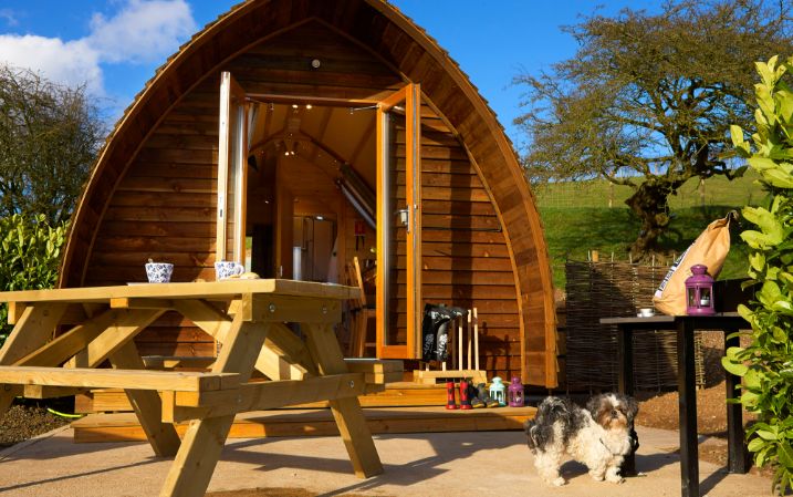 Humble Bee Farm Glamping - rooms