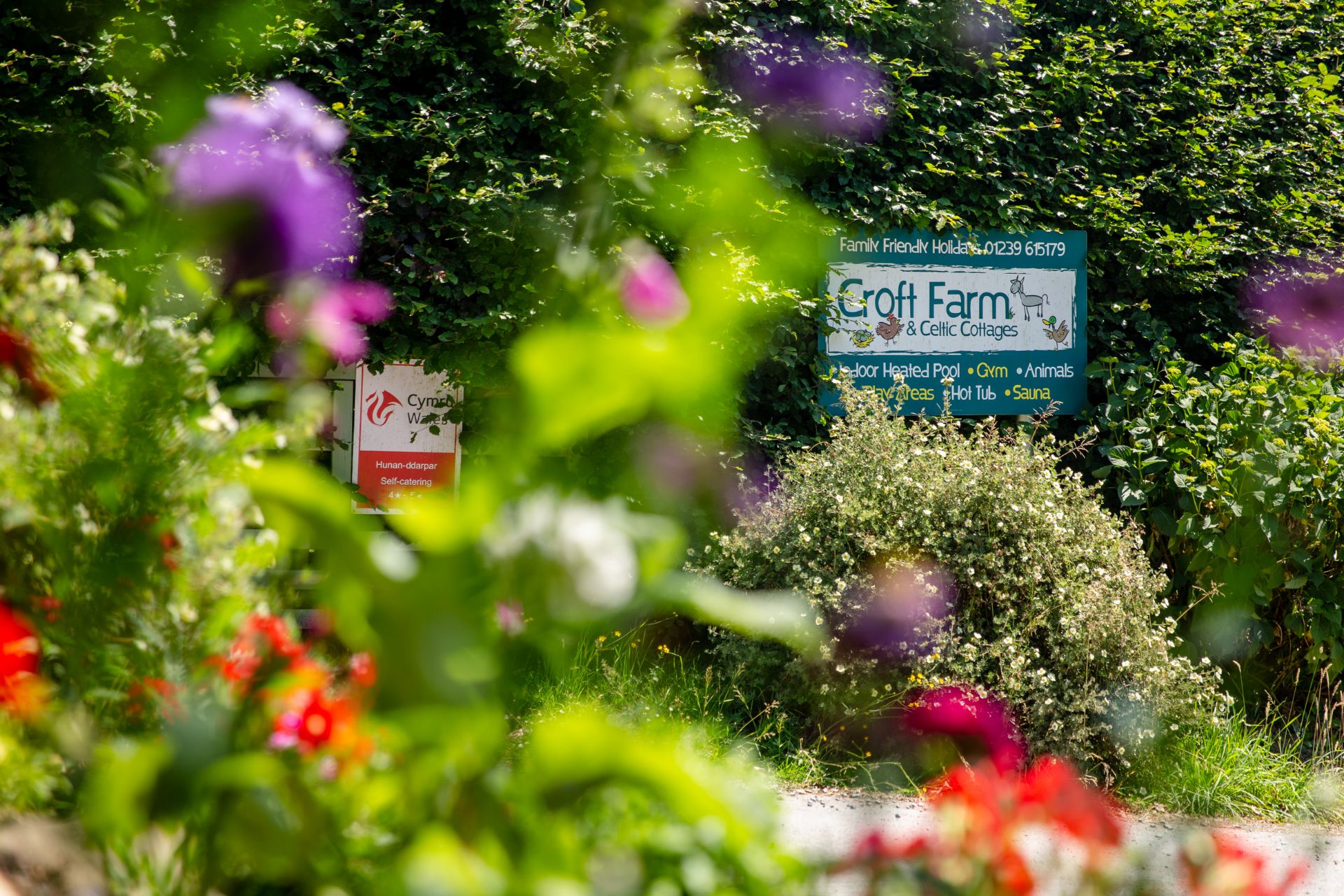 All about Croft Farm & Celtic Cottages in Pembrokeshire