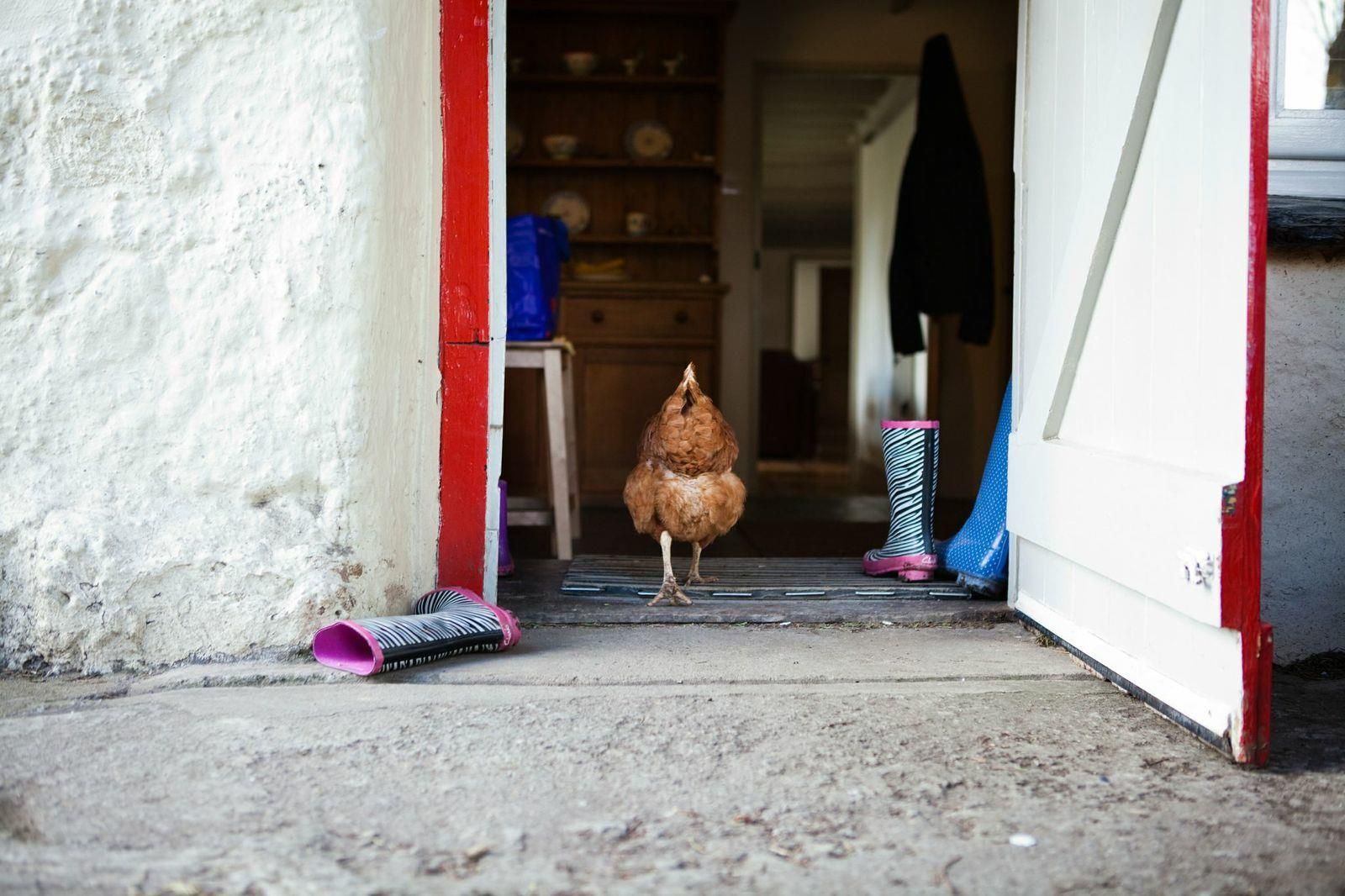 Farm stays in England